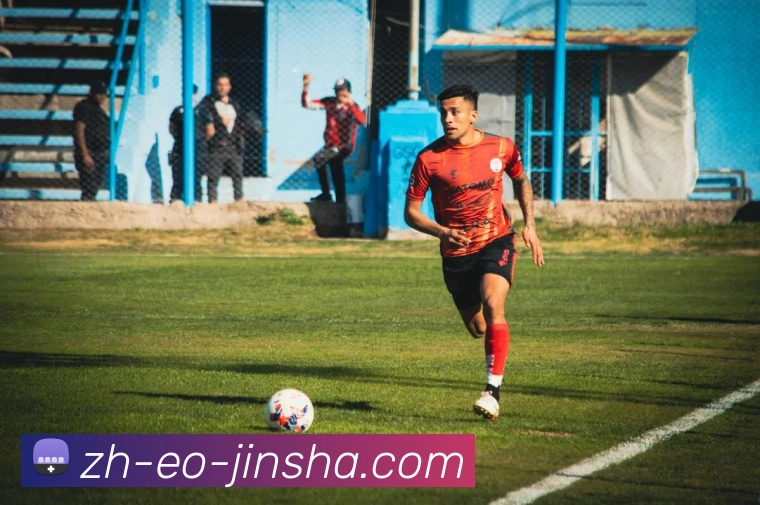 金沙官网平台生态图